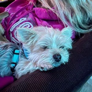 Meet your Posher, Amanda